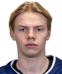 Fil:Christian lillestøl torrisen.jpg