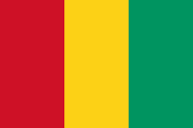 Fil:Guinea flagg.png