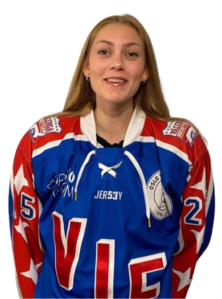 Fil:Last ned (6).png