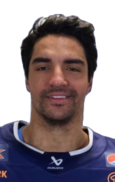 Fil:Andreasmartinsen.png