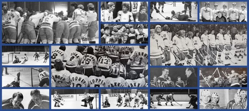 Fil:Collage vif hockey.jpg