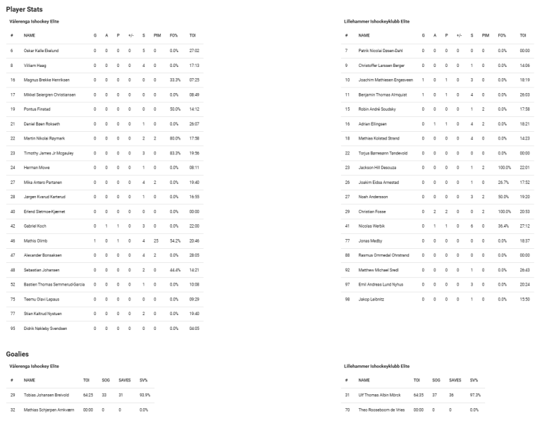 Fil:2024-12-07 vif-lil 1-2.png